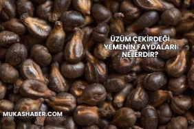 Üzüm Çekirdeği Yemenin Faydaları Nelerdir?