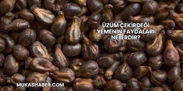 Üzüm Çekirdeği Yemenin Faydaları Nelerdir?