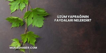 Üzüm Yaprağının Faydaları Nelerdir?