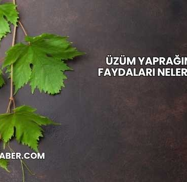 Üzüm Yaprağının Faydaları Nelerdir?