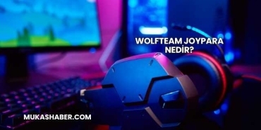 Wolfteam JoyPara Nedir?