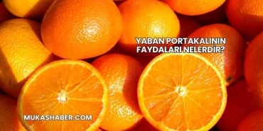 Yaban Portakalının Faydaları Nelerdir?
