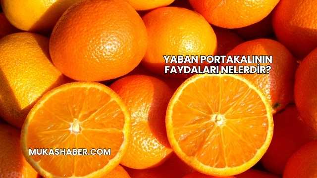 Yaban Portakalının Faydaları Nelerdir?