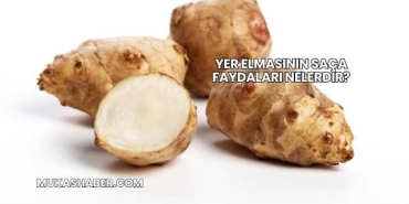 Yer Elmasının Saça Faydaları Nelerdir?