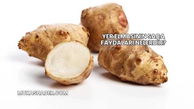Yer Elmasının Saça Faydaları Nelerdir?