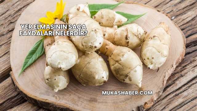 Yer Elmasının Saça Faydaları Nelerdir?