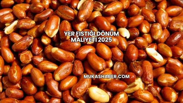 Yer Fıstığı Dönüm Maliyeti 2025