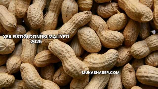 Yer Fıstığı Dönüm Maliyeti 2025
