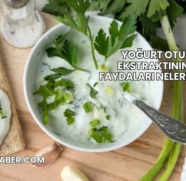 Yoğurt Otu Ekstraktının Faydaları Nelerdir?