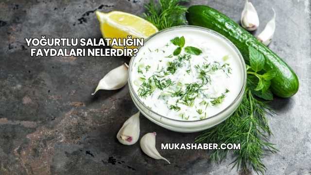 Yoğurtlu Salatalığın Faydaları Nelerdir?