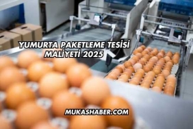 Yumurta Paketleme Tesisi Maliyeti 2025