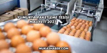 Yumurta Paketleme Tesisi Maliyeti 2025