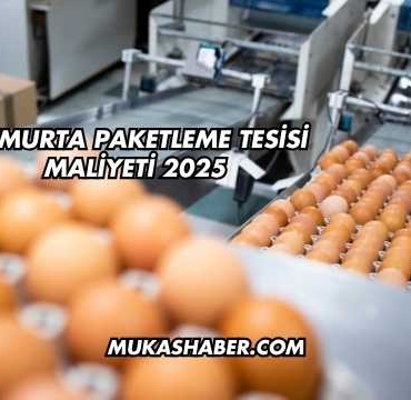 Yumurta Paketleme Tesisi Maliyeti 2025
