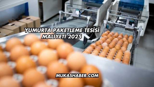 Yumurta Paketleme Tesisi Maliyeti 2025