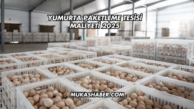 Yumurta Paketleme Tesisi Maliyeti 2025