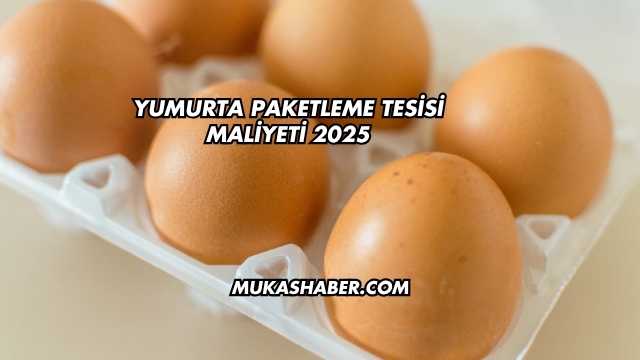 Yumurta Paketleme Tesisi Maliyeti 2025