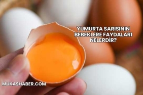 Yumurta Sarısının Bebeklere Faydaları Nelerdir?