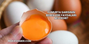 Yumurta Sarısının Bebeklere Faydaları Nelerdir?