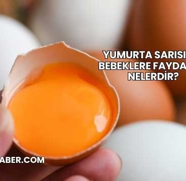 Yumurta Sarısının Bebeklere Faydaları Nelerdir?