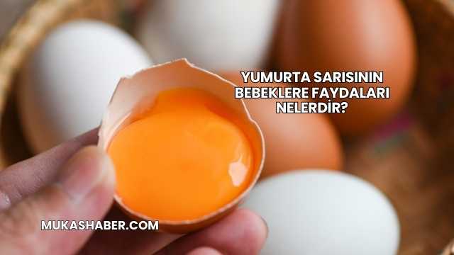 Yumurta Sarısının Bebeklere Faydaları Nelerdir?