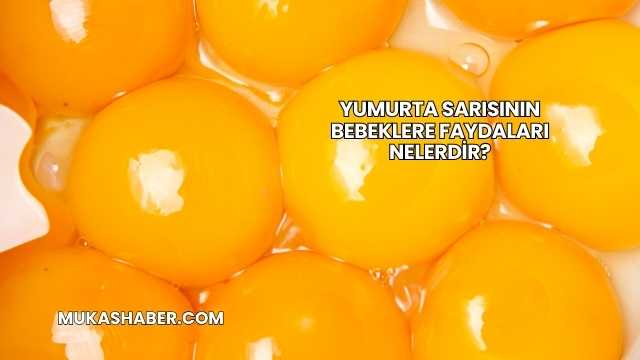 Yumurta Sarısının Bebeklere Faydaları Nelerdir?