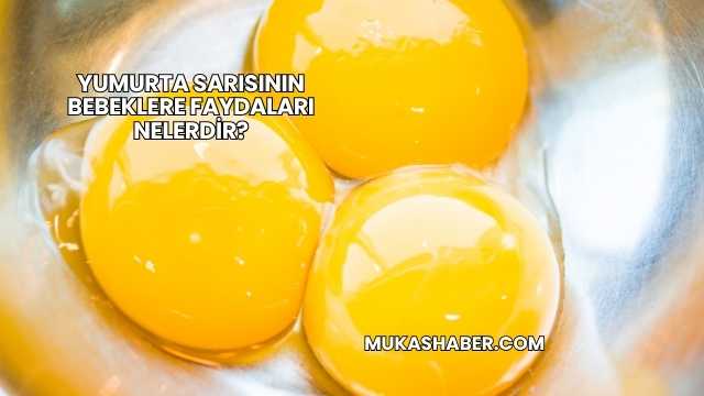 Yumurta Sarısının Bebeklere Faydaları Nelerdir?