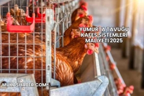 Yumurta Tavuğu Kafes Sistemleri Maliyeti 2025