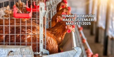 Yumurta Tavuğu Kafes Sistemleri Maliyeti 2025