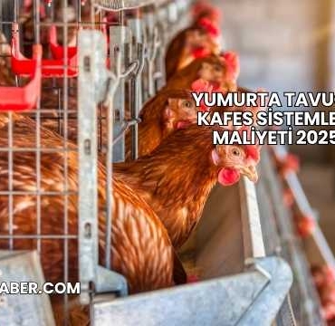 Yumurta Tavuğu Kafes Sistemleri Maliyeti 2025