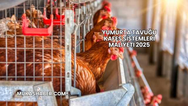 Yumurta Tavuğu Kafes Sistemleri Maliyeti 2025