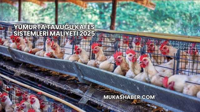 Yumurta Tavuğu Kafes Sistemleri Maliyeti 2025