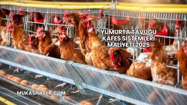 Yumurta Tavuğu Kafes Sistemleri Maliyeti 2025