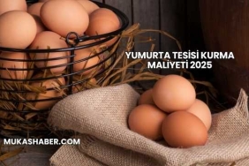 Yumurta Tesisi Kurma Maliyeti 2025