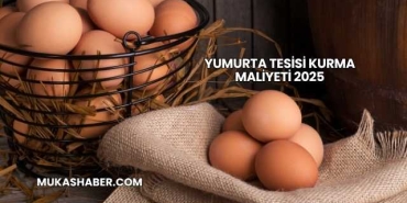 Yumurta Tesisi Kurma Maliyeti 2025