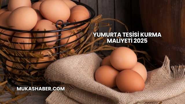 Yumurta Tesisi Kurma Maliyeti 2025
