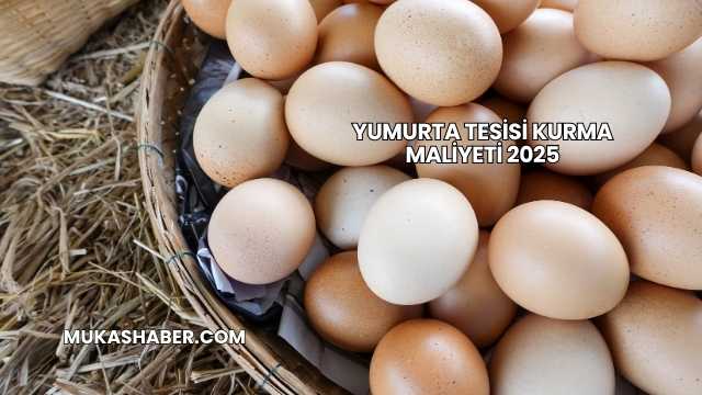 Yumurta Tesisi Kurma Maliyeti 2025