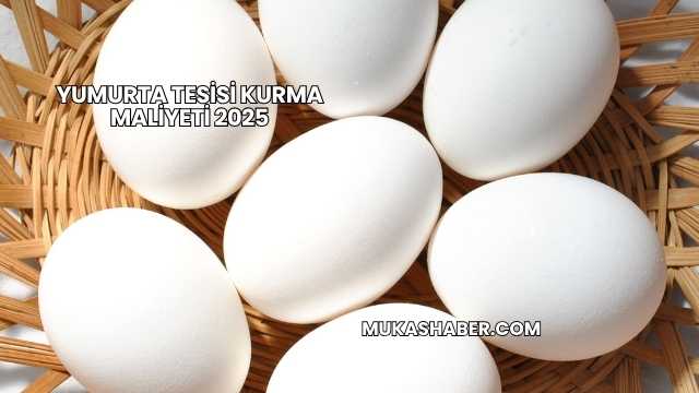 Yumurta Tesisi Kurma Maliyeti 2025