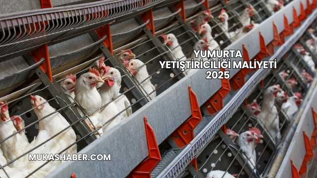 Yumurta Yetiştiriciliği Maliyeti 2025
