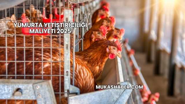 Yumurta Yetiştiriciliği Maliyeti 2025