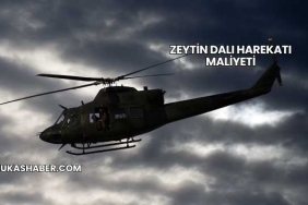 Zeytin Dalı Harekatı Maliyeti