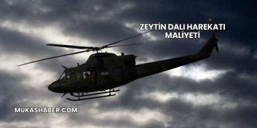 Zeytin Dalı Harekatı Maliyeti