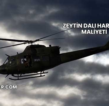 Zeytin Dalı Harekatı Maliyeti