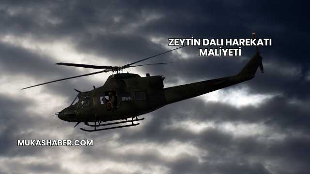 Zeytin Dalı Harekatı Maliyeti