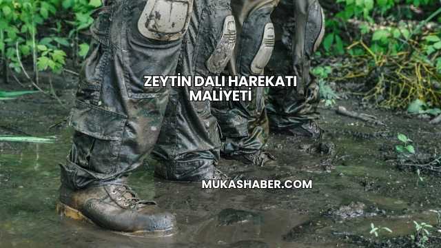Zeytin Dalı Harekatı Maliyeti
