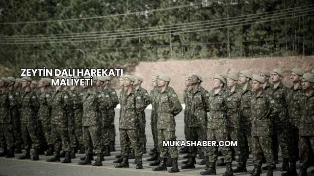 Zeytin Dalı Harekatı Maliyeti