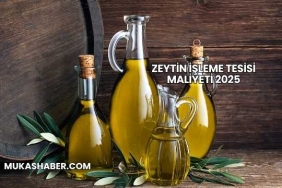 Zeytin İşleme Tesisi Maliyeti 2025
