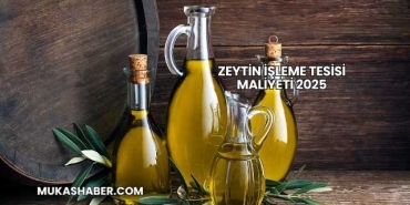 Zeytin İşleme Tesisi Maliyeti 2025