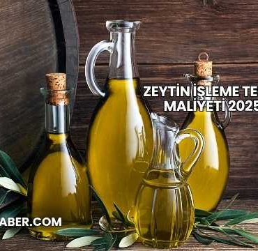 Zeytin İşleme Tesisi Maliyeti 2025