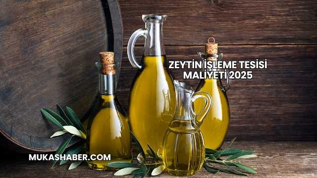 Zeytin İşleme Tesisi Maliyeti 2025