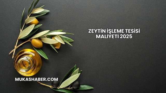 Zeytin İşleme Tesisi Maliyeti 2025
